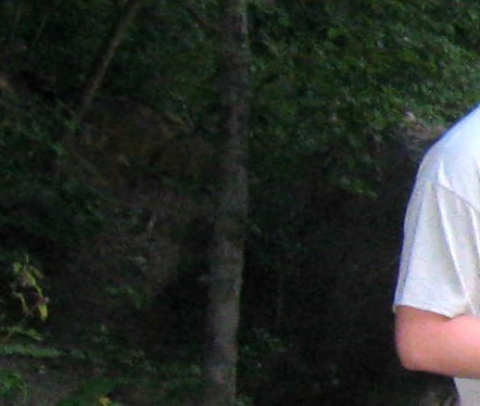 troll-and-tree-spirit-cropped-2